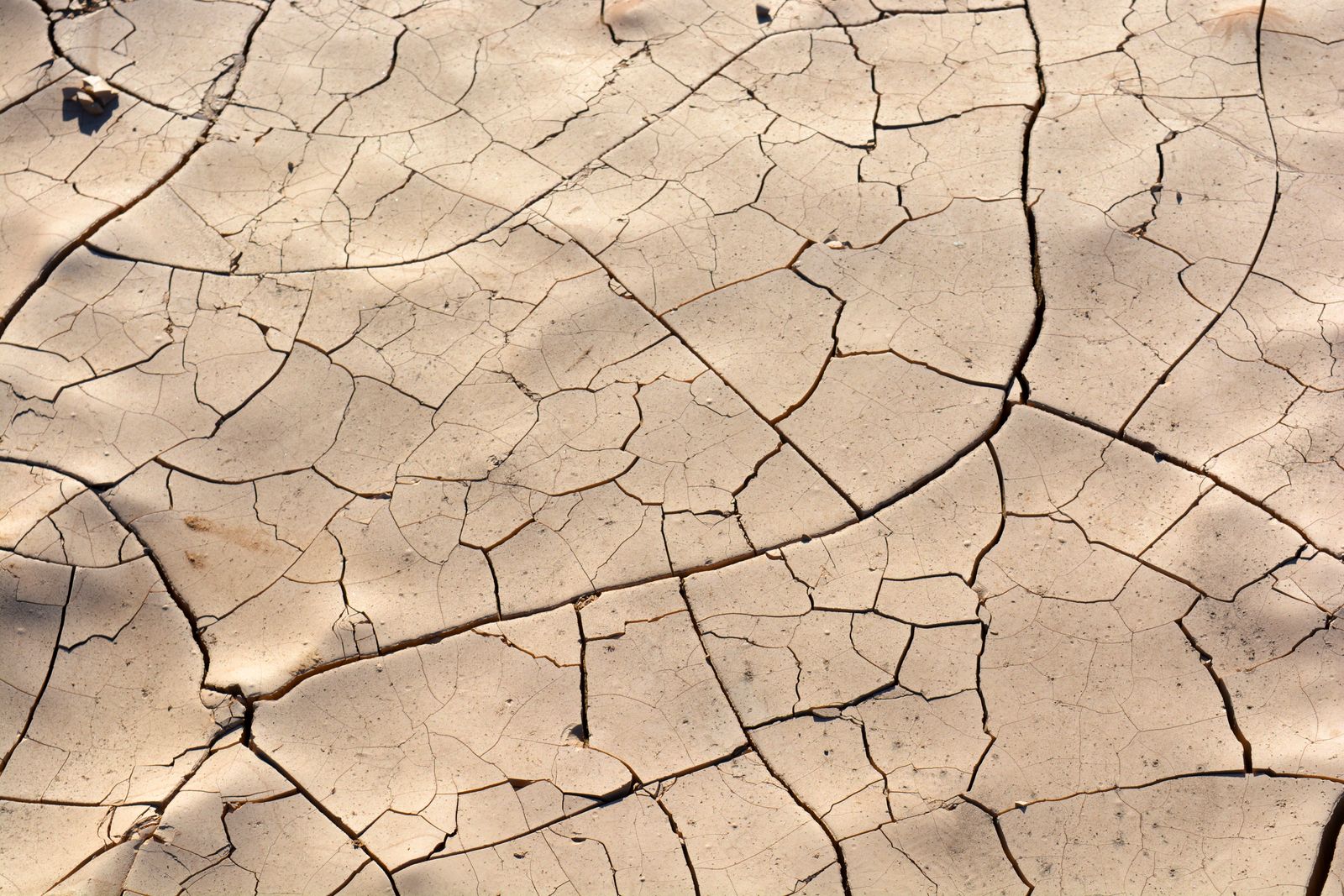 Dry cracked ground during a drought, a sign of low recharge for private wells