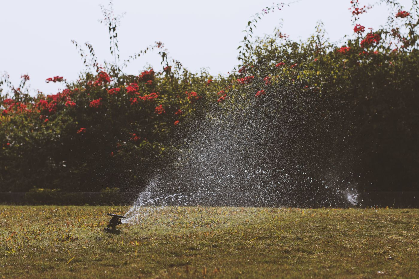 Lawn sprinkler running off a private well, a common strain on submersible pumps